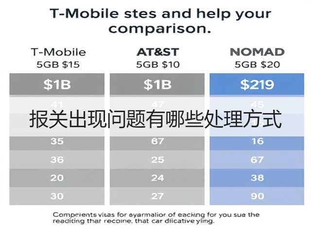 报关出现问题有哪些处理方式(图1)
