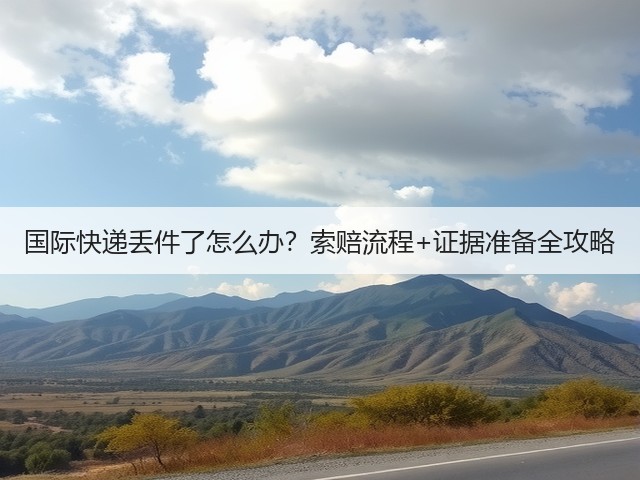 国际快递丢件了怎么办?索赔流程+证据准备全攻略(图3) 国际快递丢件了怎么办?索赔流程+证据准备全攻略(图3)