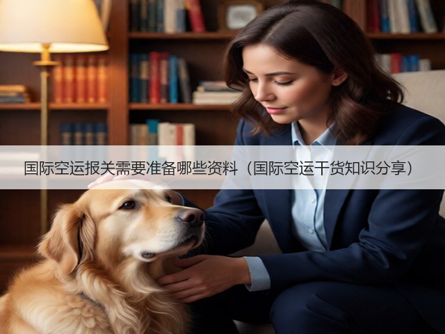 国际空运报关需要准备哪些资料(国际空运干货知识分享)(图1) 国际空运报关需要准备哪些资料(国际空运干货知识分享)(图1)
