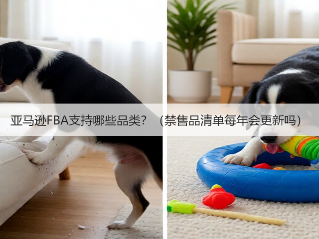 亚马逊FBA支持哪些品类?(禁售品清单每年会更新吗)(图3) 亚马逊FBA支持哪些品类?(禁售品清单每年会更新吗)(图3)