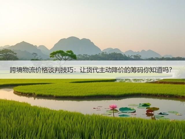 跨境物流价格谈判技巧：让货代主动降价的筹码你知道吗？(图3)