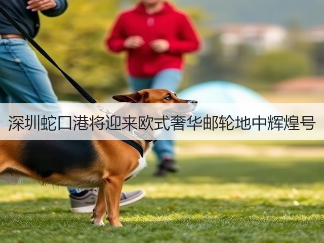 深圳蛇口港将迎来欧式奢华邮轮地中辉煌号(图3)