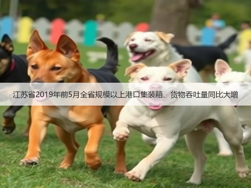 江苏省2019年前5月全省规模以上港口集装箱、货物吞吐量同比大增 江苏省2019年前5月全省规模以上港口集装箱、货物吞吐量同比大增