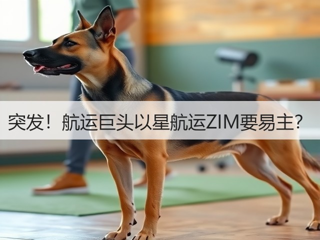 突发!航运巨头以星航运ZIM要易主?(图2) 突发!航运巨头以星航运ZIM要易主?(图2)