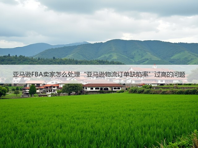 亚马逊FBA卖家怎么处理“亚马逊物流订单缺陷率”过高的问题(图1)