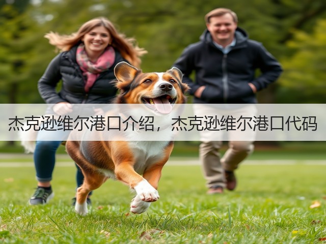 杰克逊维尔港口介绍，杰克逊维尔港口代码(图3)