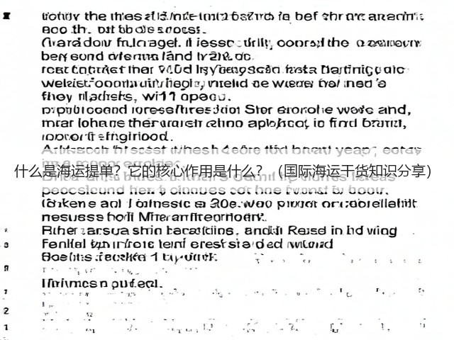 什么是海运提单？它的核心作用是什么？（国际海运干货知识分享）(图2)