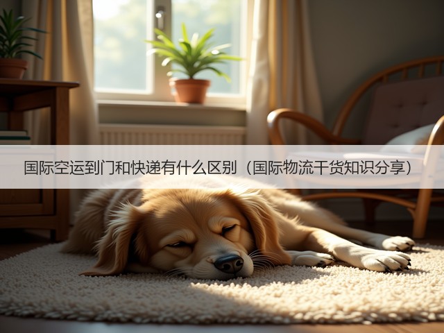 国际空运到门和快递有什么区别(国际物流干货知识分享)(图2) 国际空运到门和快递有什么区别(国际物流干货知识分享)(图2)