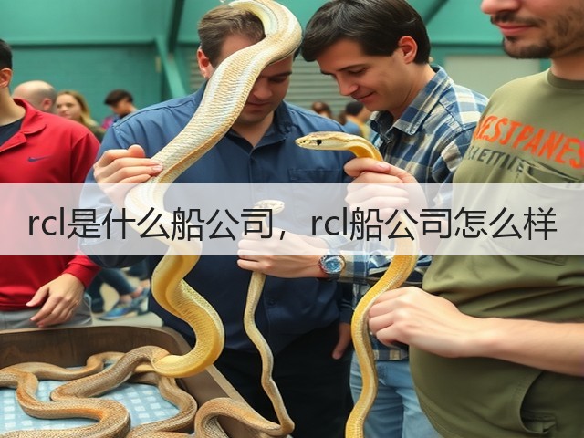 rcl是什么船公司,rcl船公司怎么样(图2) rcl是什么船公司,rcl船公司怎么样(图2)