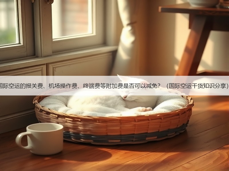 国际空运的报关费、机场操作费、终端费等附加费是否可以减免？（国际空运干货知识分享）