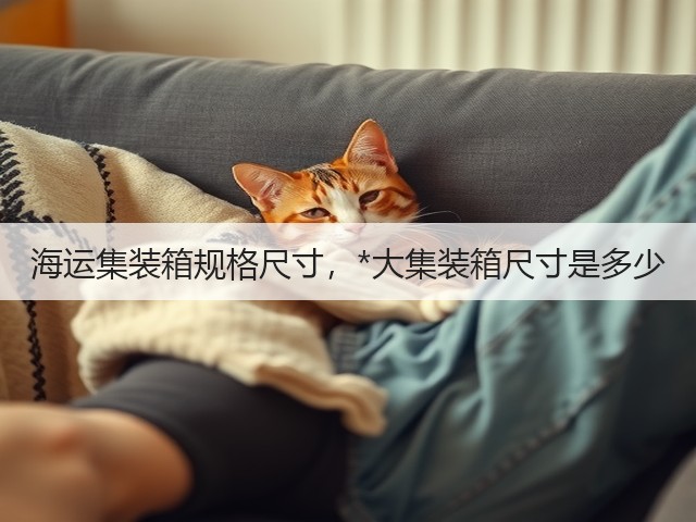 海运集装箱规格尺寸,*大集装箱尺寸是多少(图3) 海运集装箱规格尺寸,*大集装箱尺寸是多少(图3)
