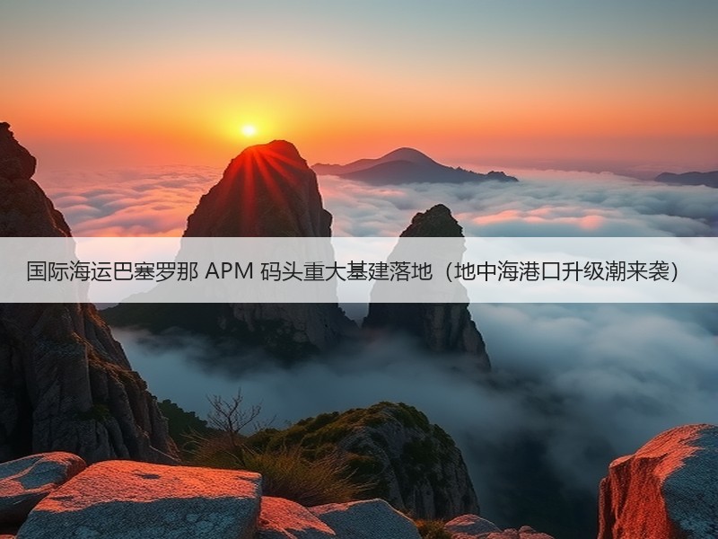 国际海运巴塞罗那 APM 码头重大基建落地（地中海港口升级潮来袭）