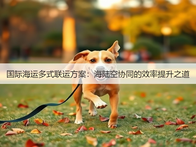 国际海运多式联运方案：海陆空协同的效率提升之道(图1)