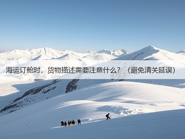 海运订舱时，货物描述需要注意什么？（避免清关延误）(图1)