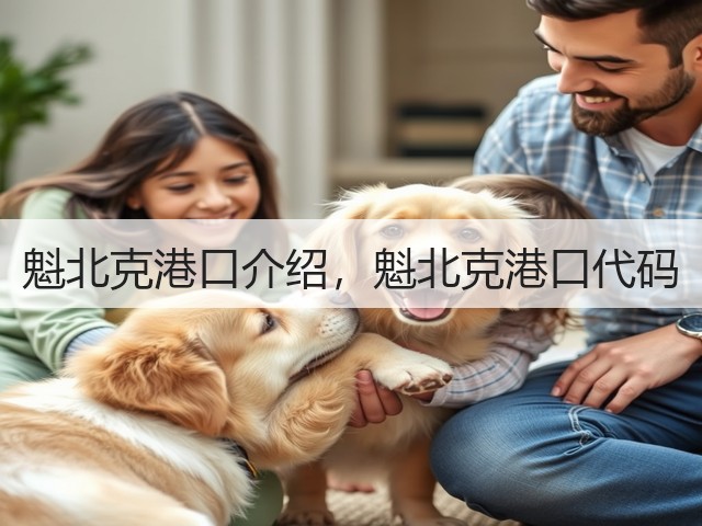 魁北克港口介绍，魁北克港口代码(图3)