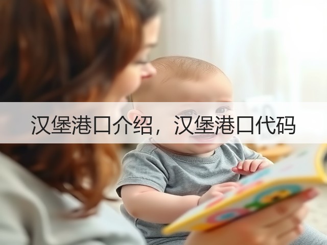 汉堡港口介绍，汉堡港口代码(图1)
