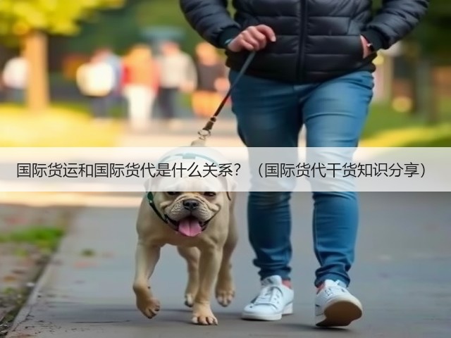 国际货运和国际货代是什么关系？（国际货代干货知识分享）(图3)