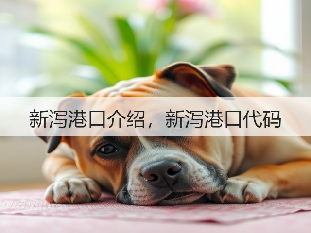 新泻港口介绍，新泻港口代码(图1)