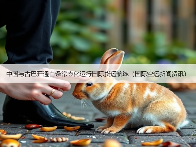 中国与古巴开通首条常态化运行国际货运航线（国际空运新闻资讯）(图1)