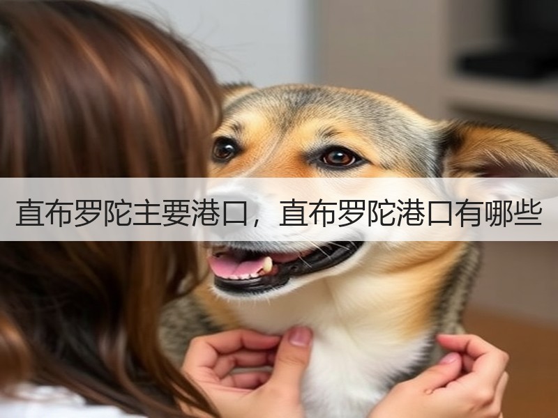 直布罗陀主要港口，直布罗陀港口有哪些