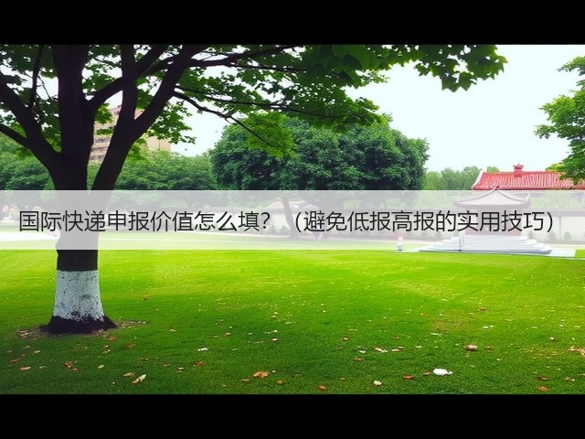国际快递申报价值怎么填?(避免低报高报的实用技巧)(图1) 国际快递申报价值怎么填?(避免低报高报的实用技巧)(图1)