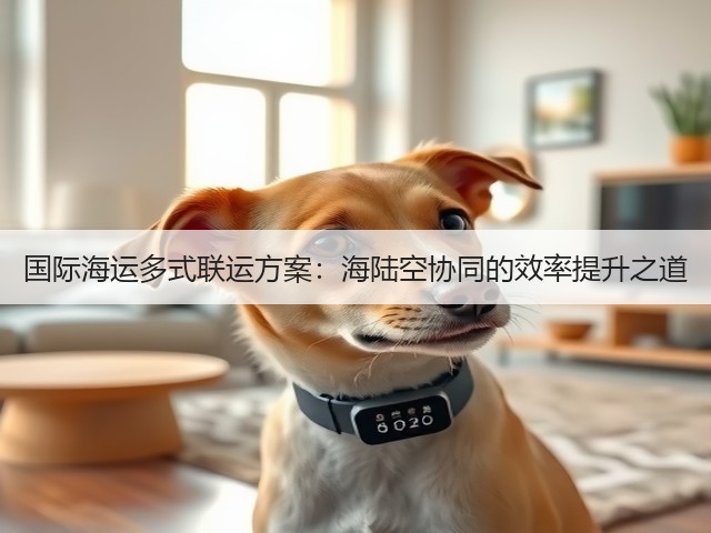 国际海运多式联运方案：海陆空协同的效率提升之道(图2)