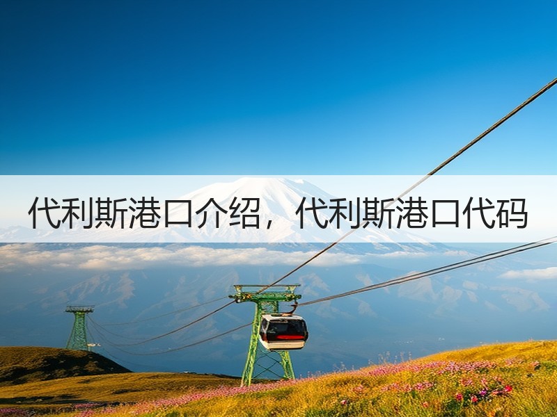 代利斯港口介绍，代利斯港口代码