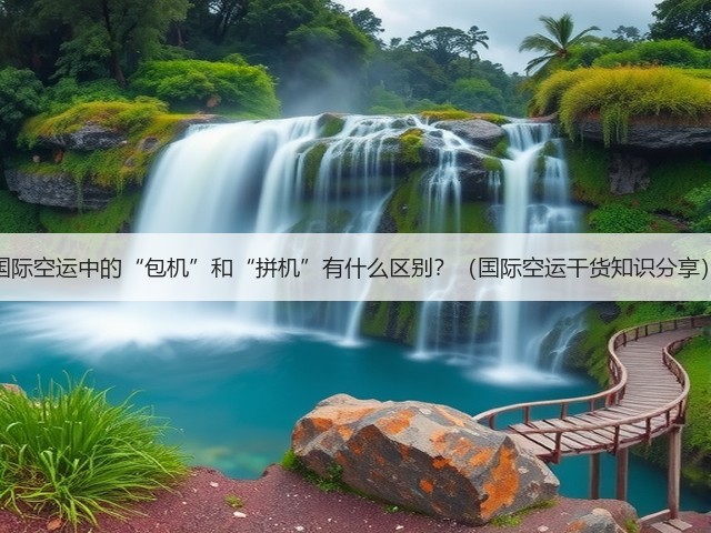 国际空运中的“包机”和“拼机”有什么区别?(国际空运干货知识分享)(图1) 国际空运中的“包机”和“拼机”有什么区别?(国际空运干货知识分享)(图1)
