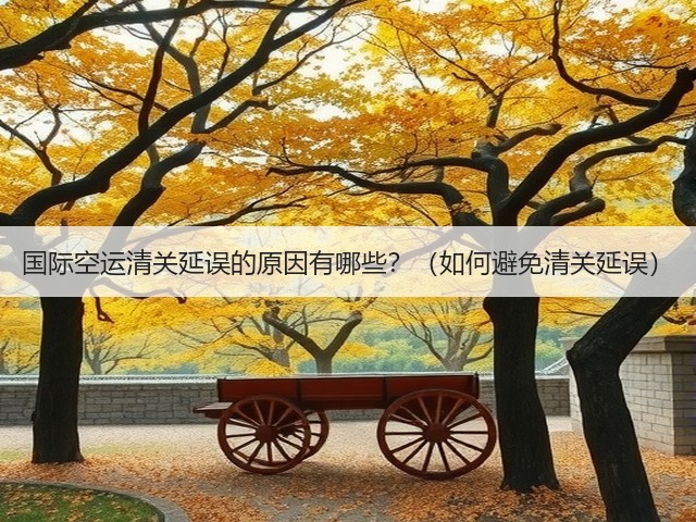 国际空运清关延误的原因有哪些?(如何避免清关延误)(图1) 国际空运清关延误的原因有哪些?(如何避免清关延误)(图1)