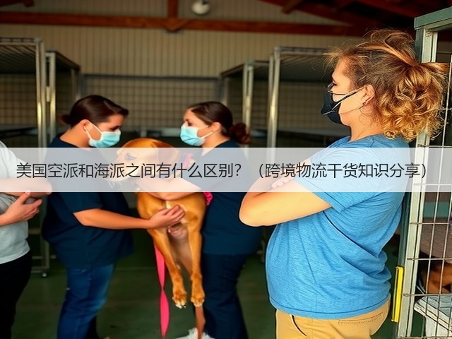 美国空派和海派之间有什么区别？（跨境物流干货知识分享）(图1)