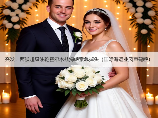 突发!两艘超级油轮霍尔木兹海峡紧急掉头(国际海运业风声鹤唳)(图3) 突发!两艘超级油轮霍尔木兹海峡紧急掉头(国际海运业风声鹤唳)(图3)