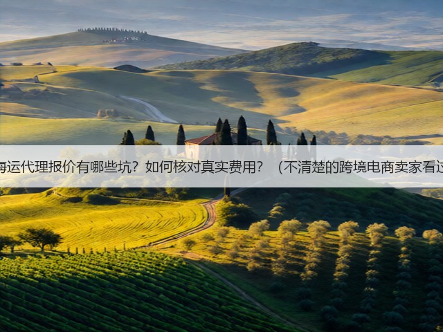 国际海运代理报价有哪些坑?如何核对真实费用?(不清楚的跨境电商卖家看过来)(图3) 国际海运代理报价有哪些坑?如何核对真实费用?(不清楚的跨境电商卖家看过来)(图3)