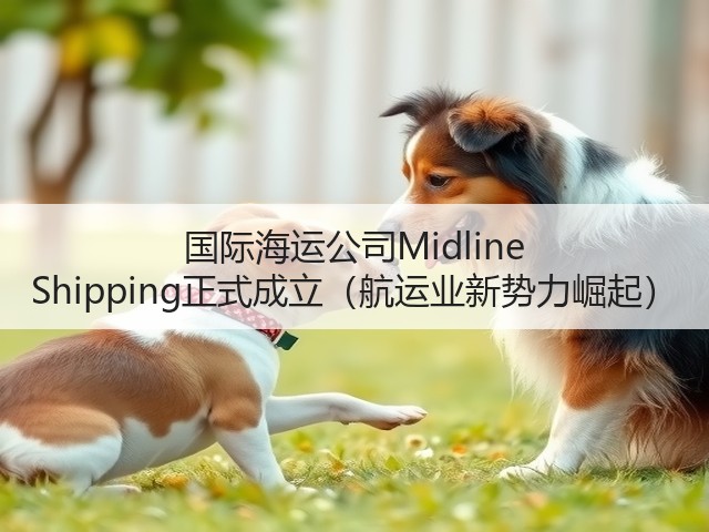 国际海运公司Midline Shipping正式成立（航运业新势力崛起）(图3)