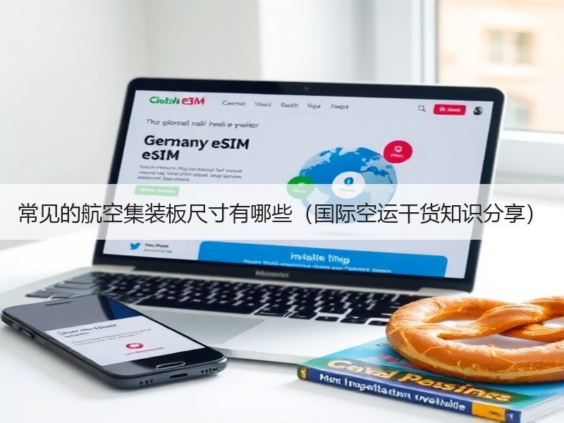 常见的航空集装板尺寸有哪些（国际空运干货知识分享）