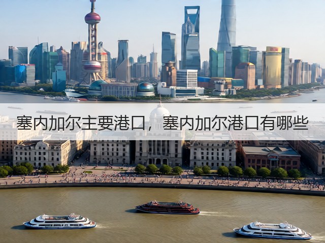 塞内加尔主要港口,塞内加尔港口有哪些(图2) 塞内加尔主要港口,塞内加尔港口有哪些(图2)