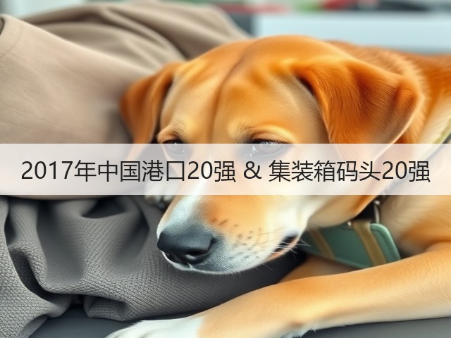 2017年中国港口20强 & 集装箱码头20强(图1)