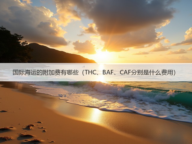 国际海运的附加费有哪些（THC、BAF、CAF分别是什么费用）(图2)