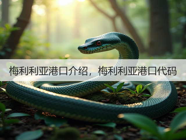 梅利利亚港口介绍，梅利利亚港口代码(图1)