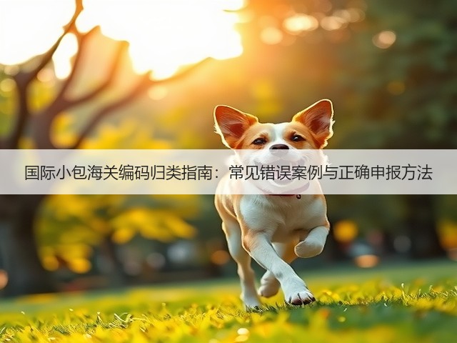 国际小包海关编码归类指南:常见错误案例与正确申报方法(图1) 国际小包海关编码归类指南:常见错误案例与正确申报方法(图1)