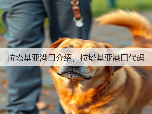 拉塔基亚港口介绍，拉塔基亚港口代码(图2)