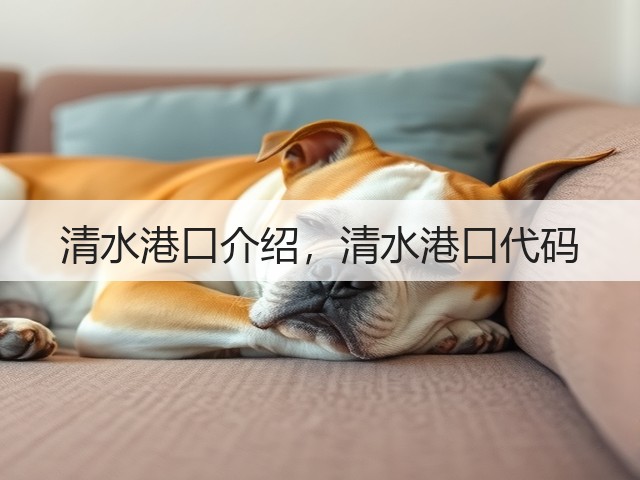 清水港口介绍，清水港口代码(图1)