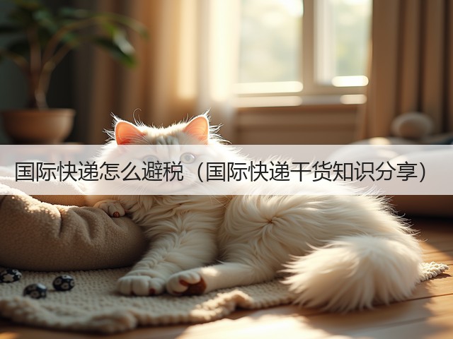 国际快递怎么避税(国际快递干货知识分享)(图3) 国际快递怎么避税(国际快递干货知识分享)(图3)
