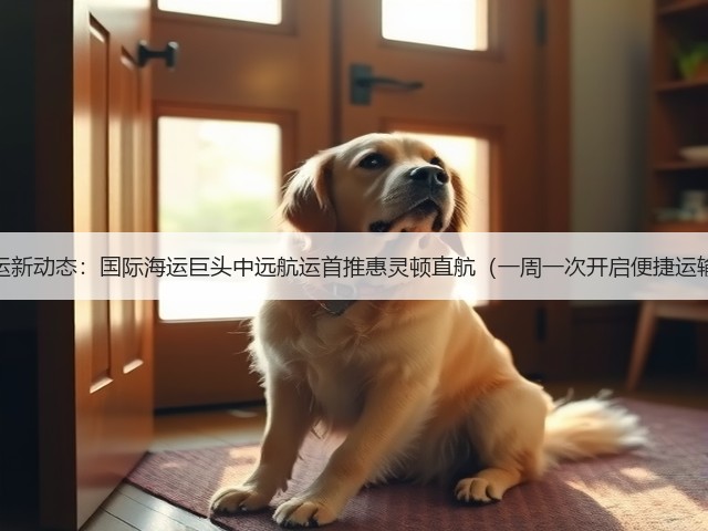 航运新动态:国际海运巨头中远航运首推惠灵顿直航(一周一次开启便捷运输)(图1) 航运新动态:国际海运巨头中远航运首推惠灵顿直航(一周一次开启便捷运输)(图1)