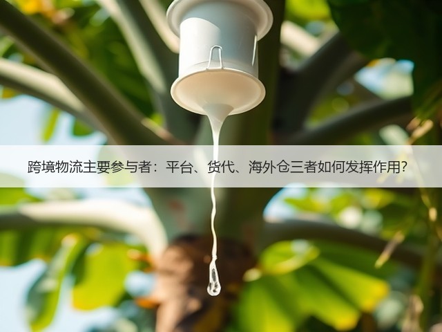 跨境物流主要参与者:平台、货代、海外仓三者如何发挥作用?(图3) 跨境物流主要参与者:平台、货代、海外仓三者如何发挥作用?(图3)
