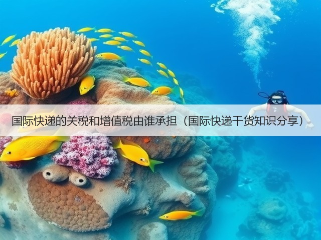 国际快递的关税和增值税由谁承担(国际快递干货知识分享)(图2) 国际快递的关税和增值税由谁承担(国际快递干货知识分享)(图2)