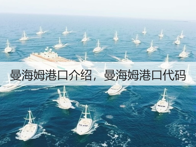 曼海姆港口介绍,曼海姆港口代码 曼海姆港口介绍,曼海姆港口代码