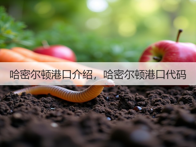 哈密尔顿港口介绍，哈密尔顿港口代码(图3)