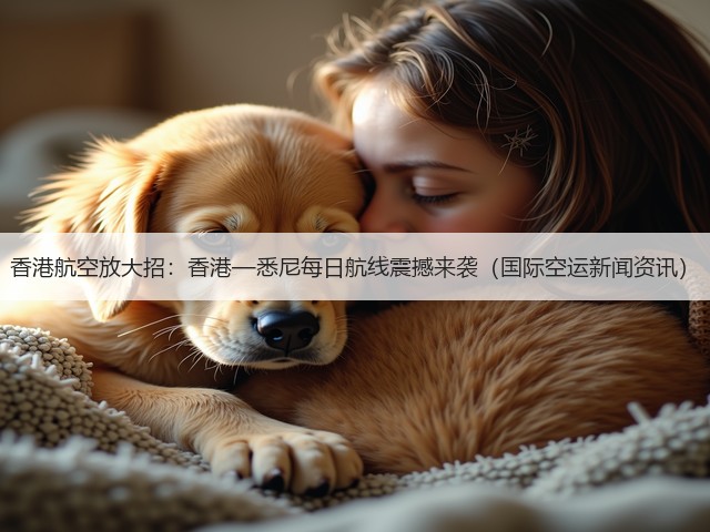 香港航空放大招：香港—悉尼每日航线震撼来袭（国际空运新闻资讯）(图3)