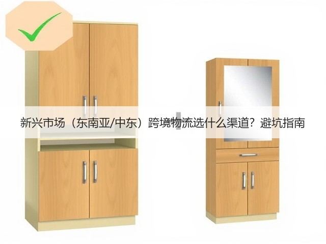 新兴市场(东南亚/中东)跨境物流选什么渠道?避坑指南(图2) 新兴市场(东南亚/中东)跨境物流选什么渠道?避坑指南(图2)