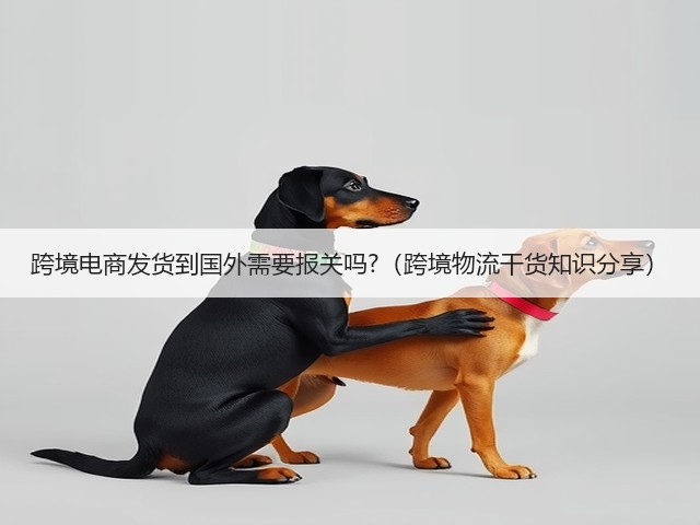 跨境电商发货到国外需要报关吗?(跨境物流干货知识分享)(图3) 跨境电商发货到国外需要报关吗?(跨境物流干货知识分享)(图3)